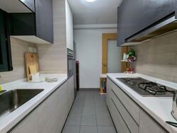 The Rainforest (D23), Condominium #560917871